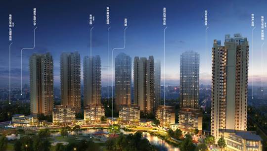 碧桂园集团-项目概况