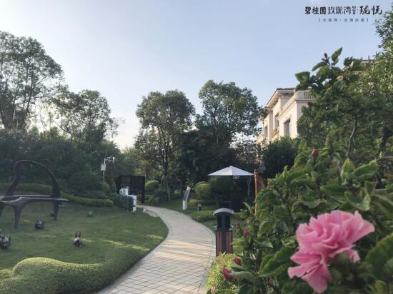 碧桂园